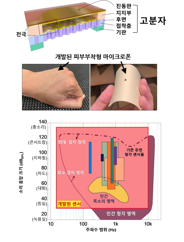 NSP통신-고분자 기반 피부부착형 마이크로폰의 모식도, 부착 사진, 감지 성능 비교 그래프 (포스텍)