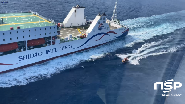 NSP통신-여객선 뉴씨다오펄호에 접근하고 있는 해경 단정 (포항해양경찰서)