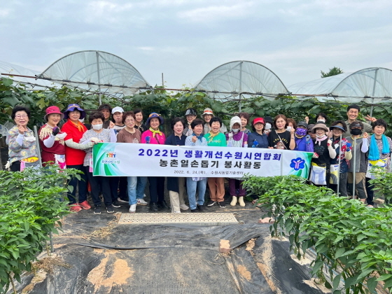 NSP통신-23일 한국생활개선회 수원시연합회 회원들이 구운동에 있는 포도 농가를 방문해 일손 돕기 봉사활동 후 기념촬영을 하고 있다. (수원시)