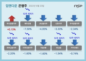 [NSP PHOTO][업앤다운]은행주 연일 폭락…하나금융↑·KB금융↓52주최저가 속출
