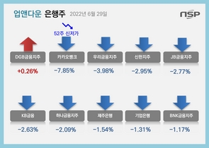 [NSP PHOTO][업앤다운]은행주 하락…DGB금융↑·카카오뱅크 52주신저가↓