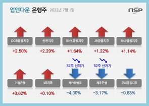 [NSP PHOTO][업앤다운]은행주 상승…DGB금융↑·카카오뱅크 2만원대 추락↓