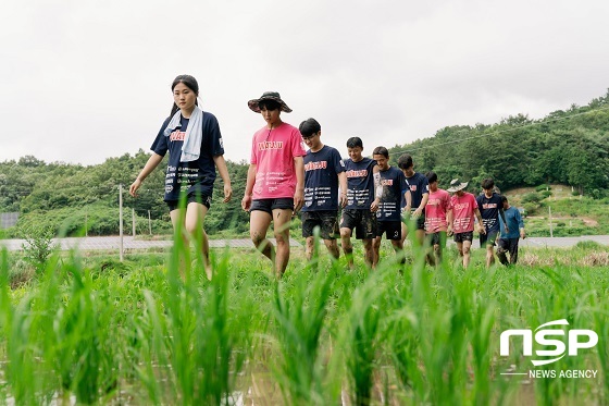 [NSP PHOTO]전주대 총학생회, 하계 농촌봉사활동 진행