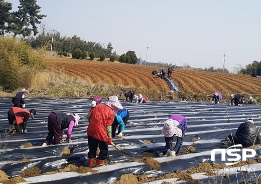 [NSP PHOTO]정읍시, 외국인 계절근로자 도입...내달 중 농가 배정