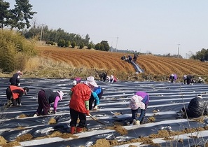 [NSP PHOTO]정읍시, 외국인 계절근로자 도입...내달 중 농가 배정