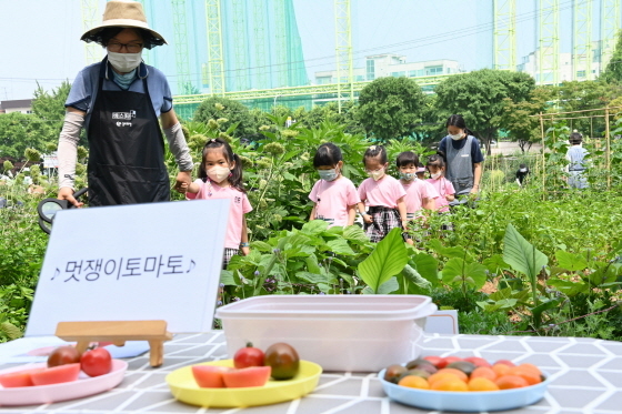 NSP통신-탑동시민농장 텃밭에서 도시농업 전문가들과 함께 유아 치유생태텃밭 프로그램에 참여한 어린이들 모습. (수원시)