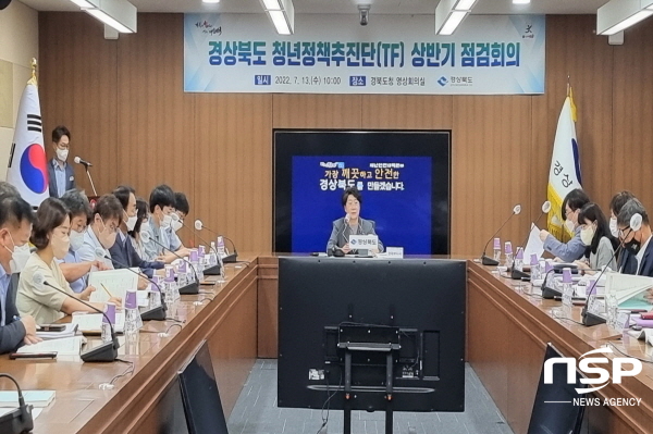 NSP통신-경상북도는 13일 도청 회의실에서 이달희 경제부지사, 청년정책 추진 부서장 등 20여 명이 참석한 가운데 청년정책추진단(TF) 상반기 점검회의를 개최했다. (경상북도)