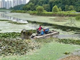 [NSP PHOTO]수원시, 광교호수공원 호수 깨끗해진다