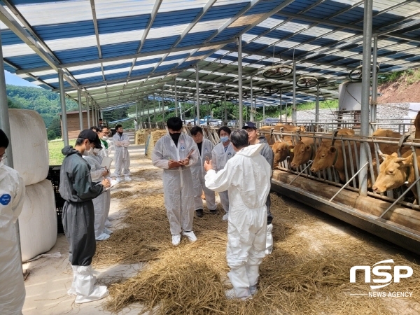 NSP통신-영양군에서는 최근 사료 가격 상승 등 어려움을 겪고 있는 축산농가에 종합컨설팅 제공을 통한 애로기술 해결로 돌파구를 찾고 있어 주목되고 있다. (영양군)