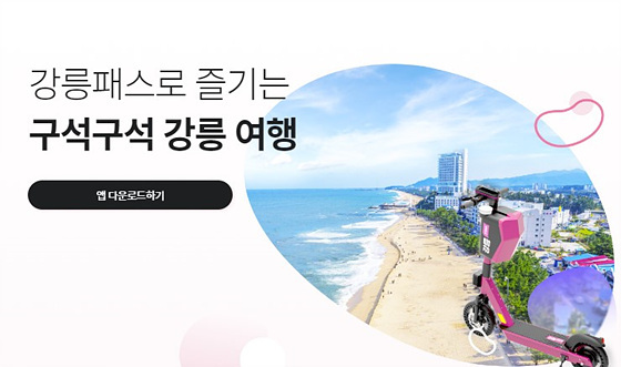 NSP통신-강릉패스 앱 화면. (강릉시)