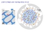 [NSP PHOTO]포스텍 박문정·손창윤 교수팀, 기계적 강도·이온 전도도 동시에 높인 이종 관능기 고분자 전해질 개발