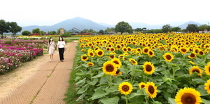 [NSP PHOTO]경주 서라벌 황금정원 , 지역 화훼농가·업체 상생발전 원동력