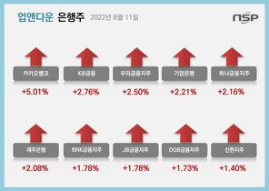 [NSP PHOTO][업앤다운]은행주 상승…카카오뱅크·KB금융↑