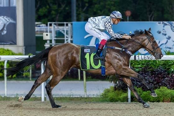 NSP통신-코리아스프린트 싱가폴마 셀라비 (CelaviSingapore Turf Club)