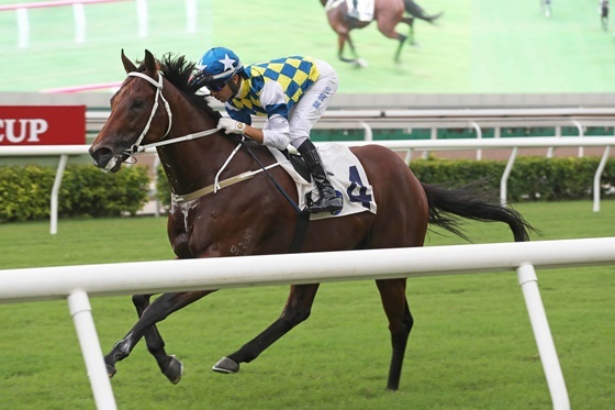 NSP통신-코리아스프린트 홍콩마 컴퓨터패치 (The Hong Kong Jockey Club)