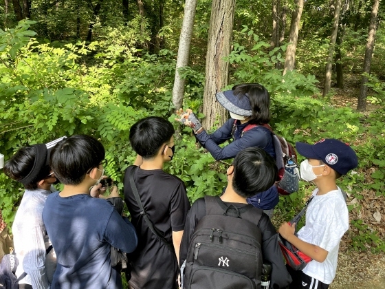 NSP통신-학교밖 현장형 프로그램에 참여한 학생들이 숲에서 체험교육을 받고 있다. (오산시)