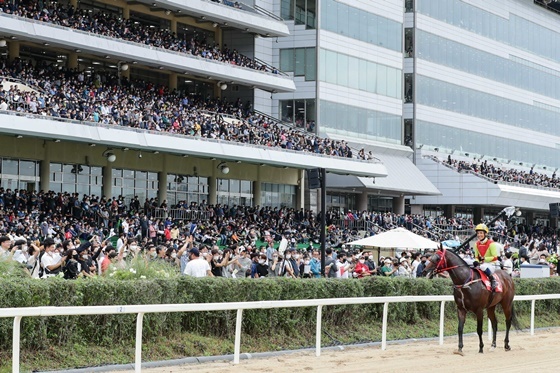 NSP통신-2022년 코리아스프린트 어마어마와 문세영 기수 승리후 위닝 세레모니 (한국마사회)