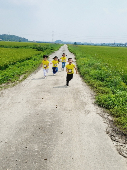 NSP통신-어린이들이 논에서 달리기를 하고 있다. (화성시)
