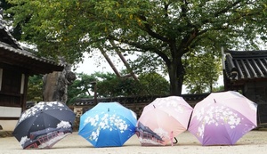[NSP PHOTO]나주시, 배꽃 머금은 우산·부채 관광기념품 제작