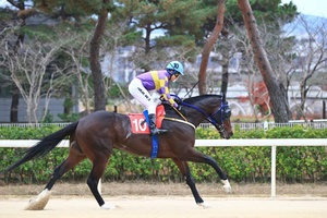 [NSP PHOTO]한국마사회, 18일 1400m경주에 혈통 금수저 경주마 대거 출전