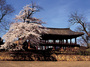 [NSP PHOTO]삼척시, 문화재청 지역문화재 활용사업 국·도비 확보