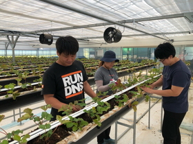 [NSP PHOTO]보성군, 청년농업인 경영 실습 임대농장 운영 본격화