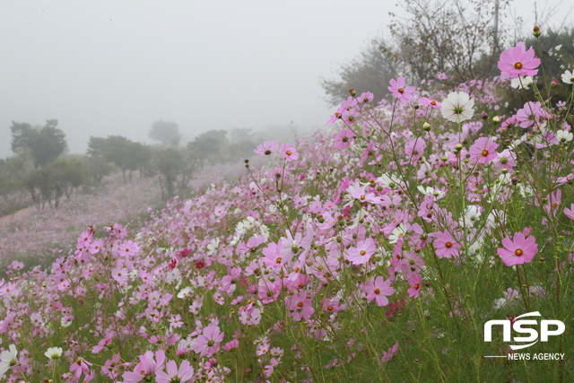 NSP통신- (곡성군)