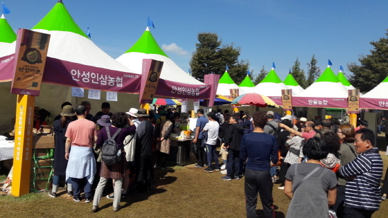 NSP통신-남사당 바우덕이 축제 모습. (안성시)