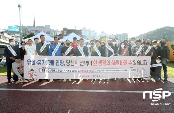 [NSP PHOTO]정읍시 유기동물, 사지 말고 무료로 입양하세요