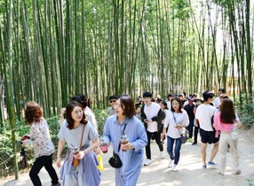 [NSP PHOTO]담양군 죽녹원, 전남 대표 관광지 명불허전