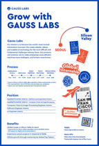 [NSP PHOTO]가우스랩스, 글로벌 인턴십 Grow with Gauss Labs 프로그램 참가자 모집