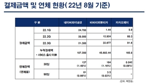 [NSP PHOTO]네이버파이낸셜·카카오페이, 신용평가 없는 BNPL 제공…연체 위험↑