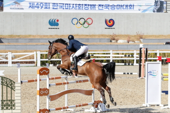 NSP통신-제49회 한국마사회장배 전국승마대회 모습. (한국마사회)