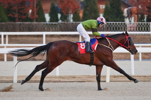 [NSP PHOTO]한국마사회 서울경마공원, KRA컵 클래식 대상경주 개최