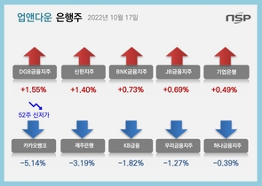 [NSP PHOTO][업앤다운]은행주 하락…·DGB금융↑·카카오뱅크 52주신저가↓