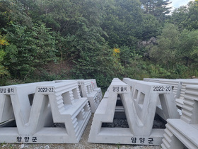 [NSP PHOTO]양양군, 문어 서식 산란장 조성