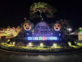 [NSP PHOTO]영암군, 오색 국화향기 가득한 월출산 국화축제 오는 29일부터 개최