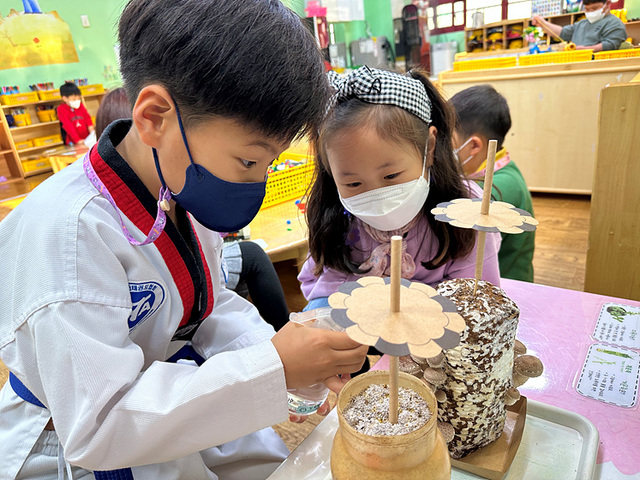 NSP통신-버섯나라 영양놀이터 프로그램을 체험하는 어린이들. (동해시)