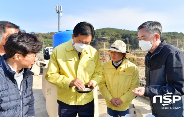 NSP통신- (장성군)