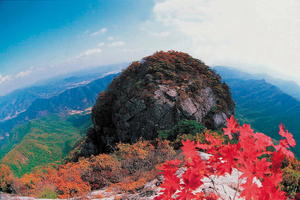 [NSP PHOTO]광양시, 만산홍엽 백운산 꼭 가야 할 5가지 이유