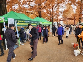 [NSP PHOTO]담양군, 유기견 입양 활성화 캠페인 전개