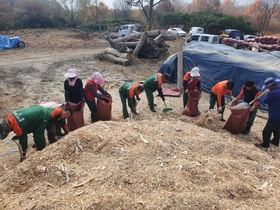 [NSP PHOTO]곡성군, 공공산림 가꾸기 사업단 농업용 톱밥 공급