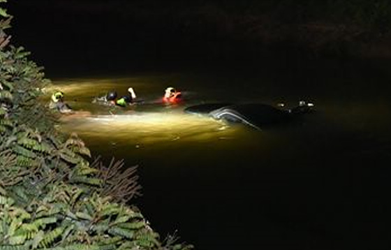 NSP통신-구조 당시 현장 모습. (김포소방서)