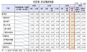 [NSP PHOTO]9월말 은행 부실채권 82.8% 기업여신