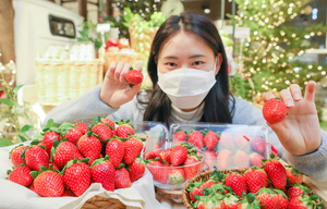 [NSP PHOTO]현대백화점, 국산 신품종 딸기 홍희 선봬