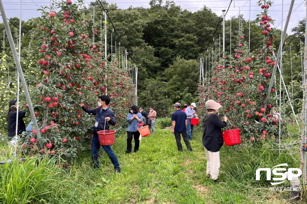 NSP통신-의성군은 농림축산식품부가 전국 지자체를 대상으로 실시한 2022년 귀농귀촌 유치지원사업 성과평가에서 장려상을 수상했다고 지난 21일 밝혔다. (의성군)