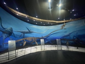 [NSP PHOTO]해남군, 공룡박물관 해양파충류실 실감콘텐츠 확충