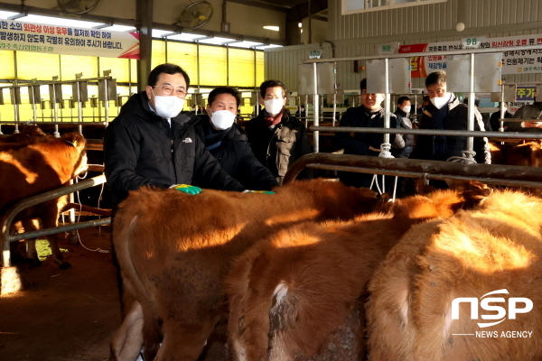 NSP통신-주낙영 경주시장이 16일 오전 계묘년 새해를 맞아 경주 가축시장을 직접 찾아 운영현황과 가축거래실태를 살펴보고 축산농가를 격려했다. (경주시)