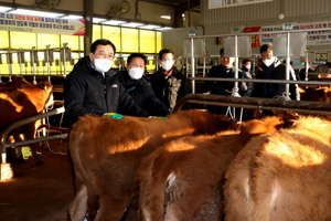 [NSP PHOTO]주낙영 경주시장, 신년맞이 가축시장 방문