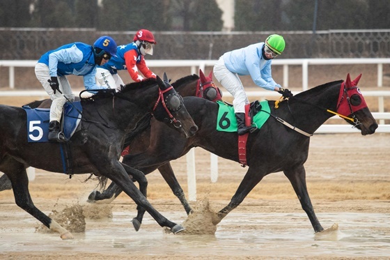 NSP통신-안토니오 기수 통산 300승 달성 장면 (한국마사회)